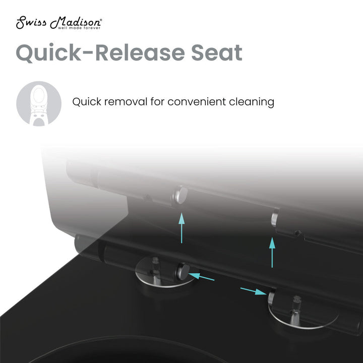 Voltaire One-Piece Elongated Toilet Dual-Flush 1.1/1.6 gpf in Matte Black