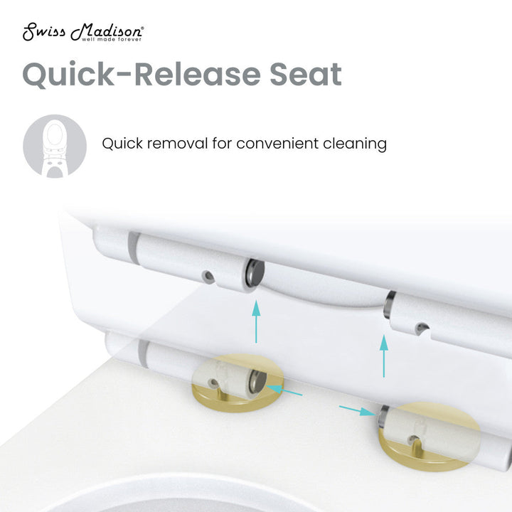 Ivy One Piece Toilet Dual Vortex™ Flush, Brushed Gold Hardware 1.1/1.6 gpf