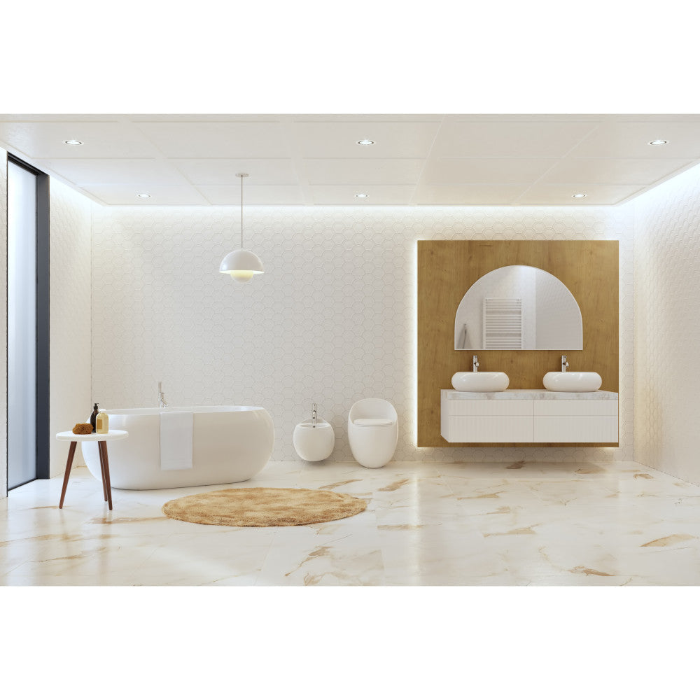 Plaisir II One-Piece Elongated Toilet Top Flush 1.28 GPF