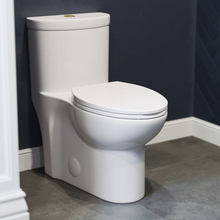Sublime One Piece Elongated Toilet Dual Flush, Brushed Gold Hardware 1.1/1.6 gpf