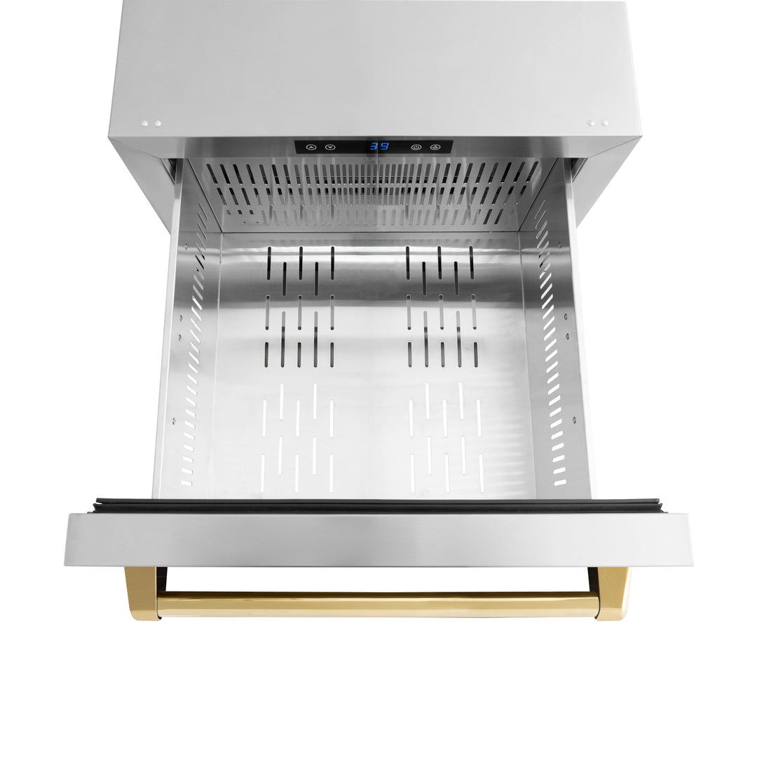 ZLINE Autograph 24" Touchstone 168 Can Outdoor-Rated Refrigerator Drawer with Stainless Steel Doors and Polished Gold Handles, RDSOZ-ST-24-G