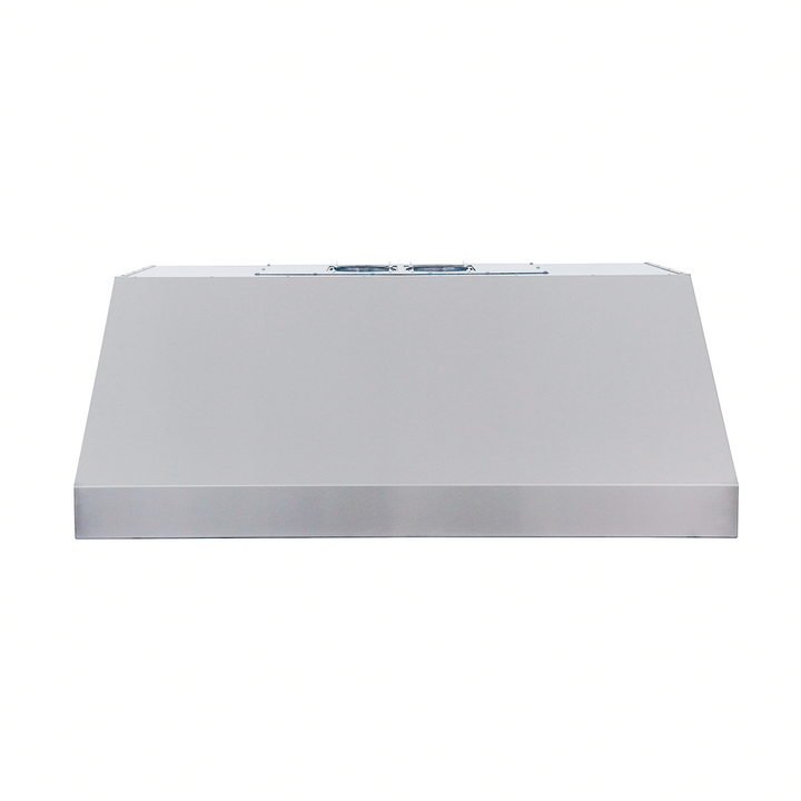 RCS Gas Grills - 48" Vent Hood w/ Fans - RVH48