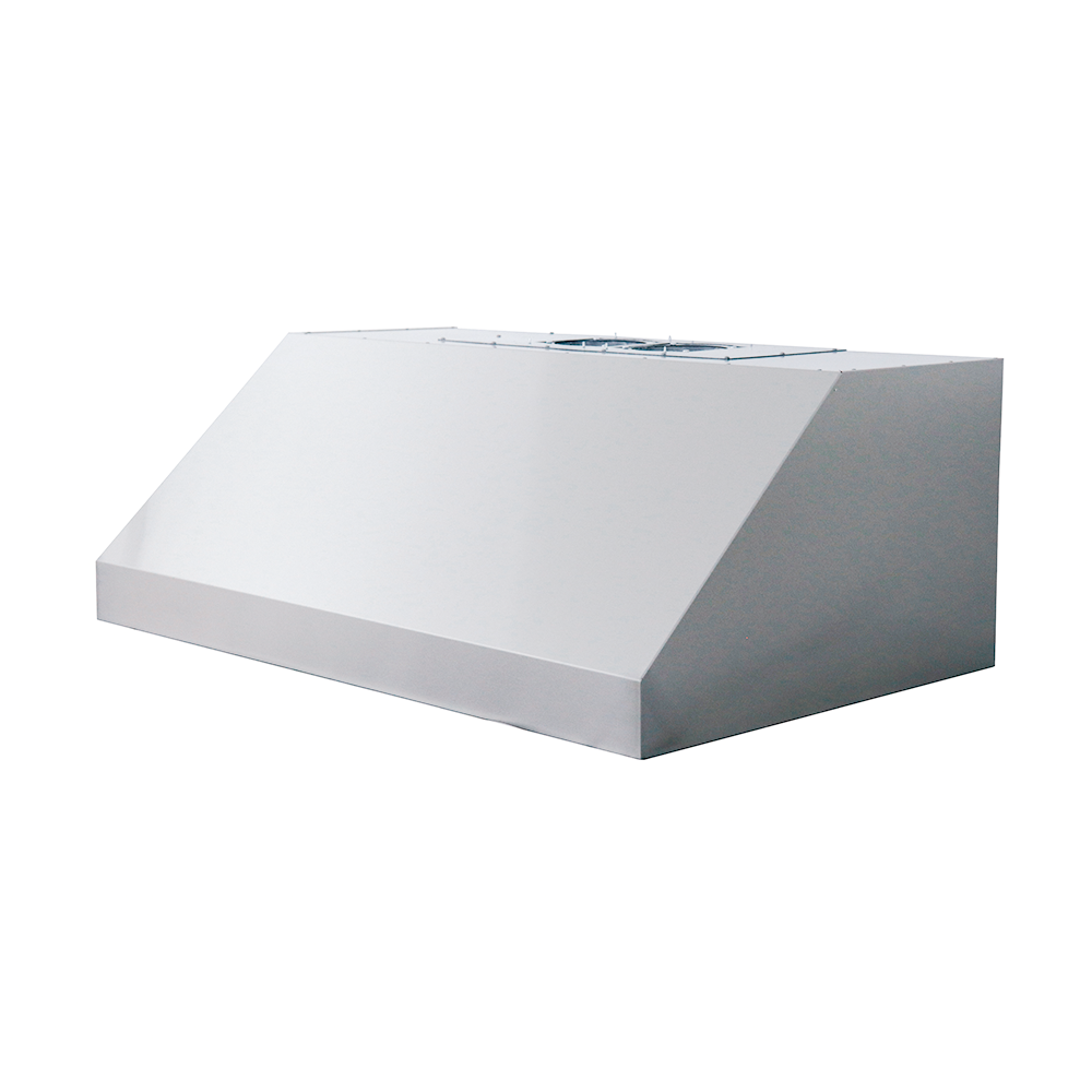 RCS Gas Grills - 48" Vent Hood w/ Fans - RVH48